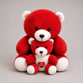 Red Teddy Bear Duo Soft Toy Set with "Best Wishes" Heart